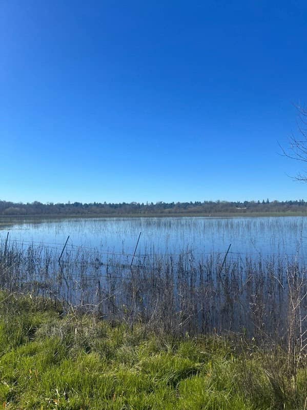 Laguna de Santa Rosa Trail - Image 2