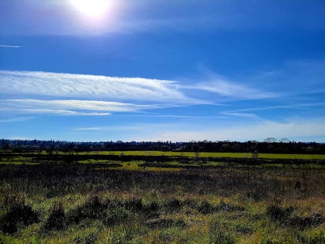 Laguna de Santa Rosa Trail - Image 3