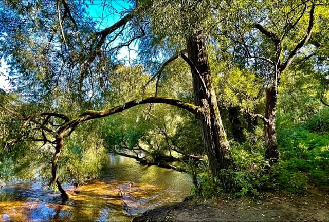 Stour Valley Nature Reserve - Image 2