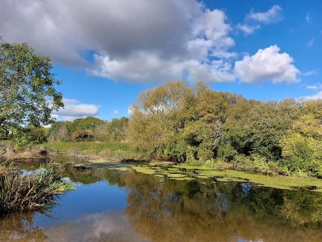 Stour Valley Nature Reserve - Image 1