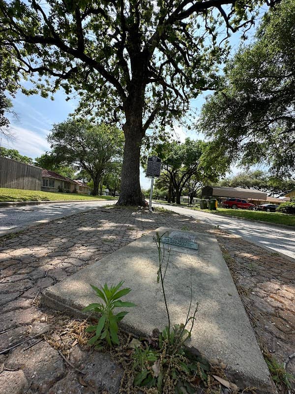 Mrs. Hollie Tatnell's Grave - Image 1