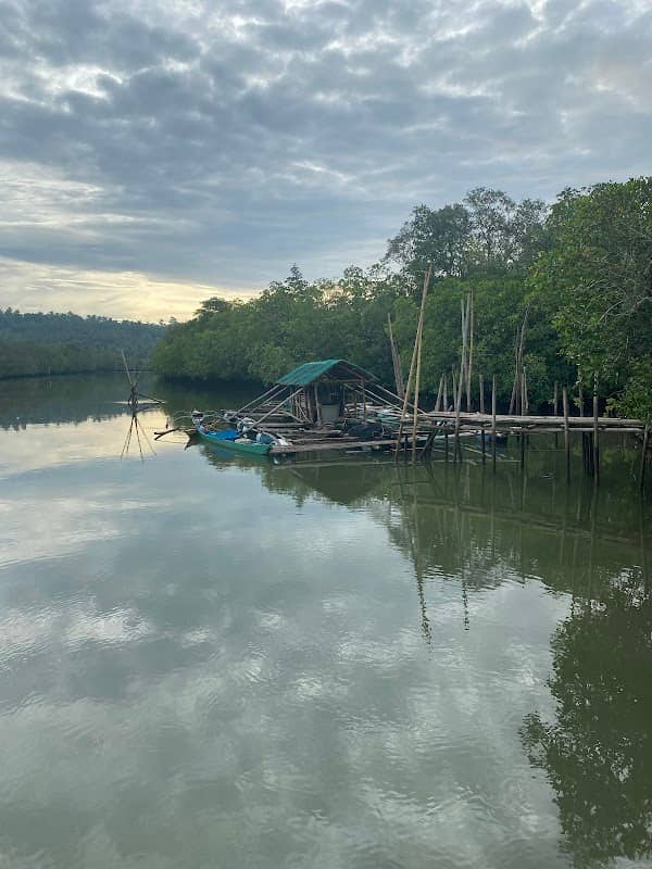 Calantipayan Mangrove Walk - Image 1