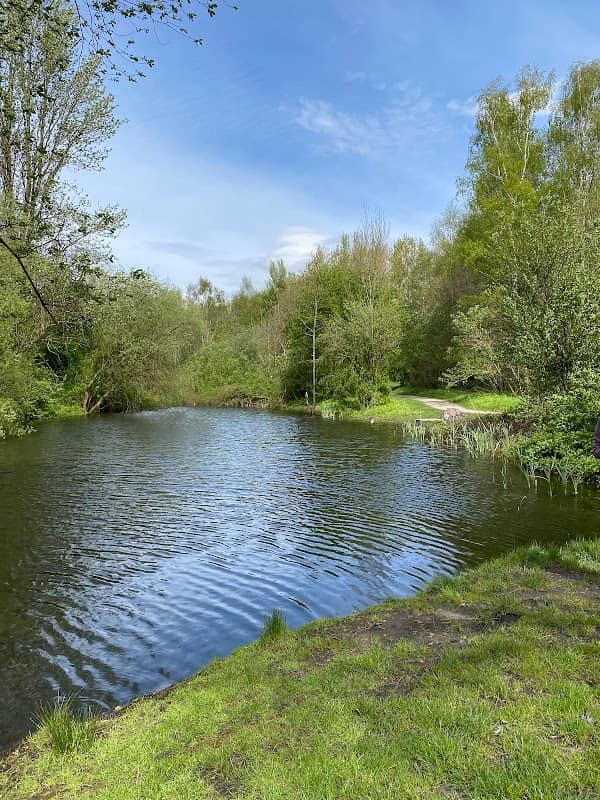 Prestwich Forest Park - Image 1