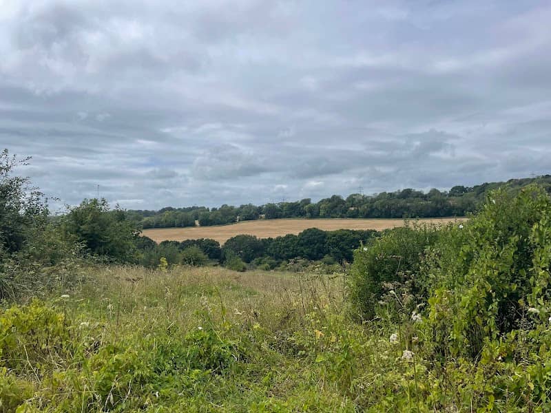Parsonage Field - Image 1