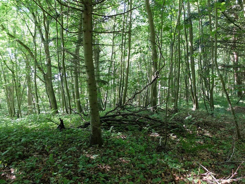 Strypemonde - Image 1