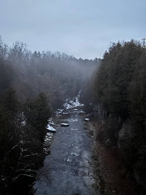 Stairs to river - Image 1