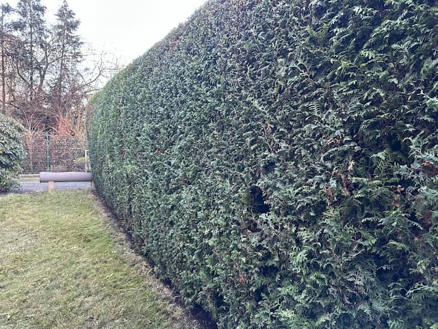 Garten-Service RVZ - Image 1