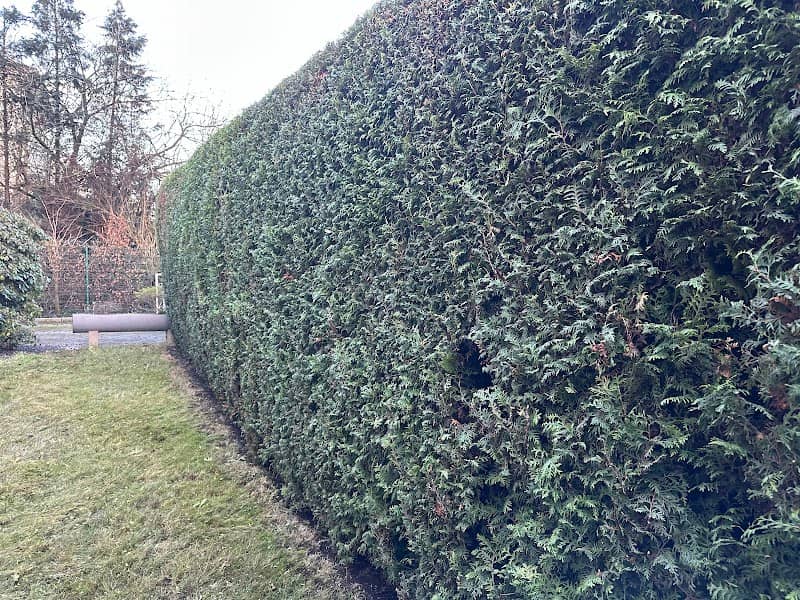 Garten-Service RVZ - Image 1