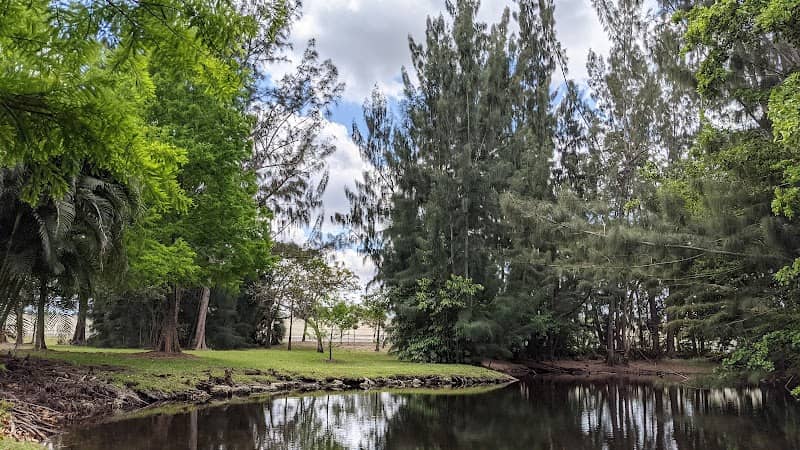 Tara Park - Image 2