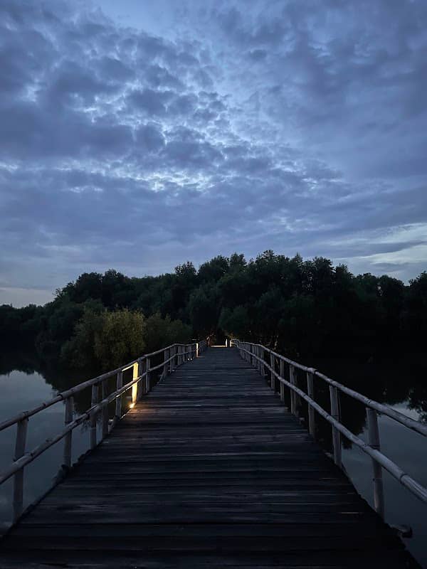 Mangrove Sunset Bridge - Image 2