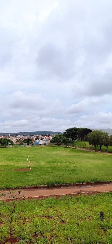 Pista de Skate - Image 2
