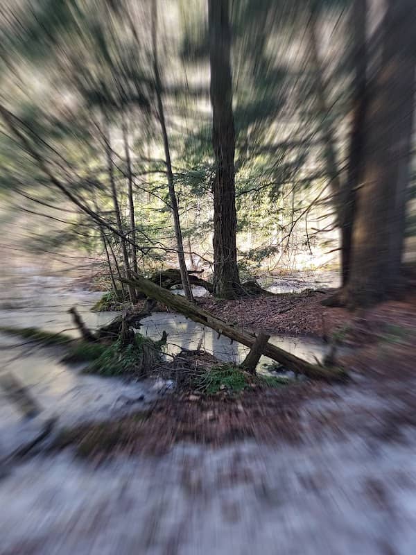 Crows Pass Side Trail Entrance, CLOCA - Image 1