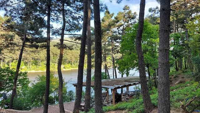 Aydos Forest - Image 1