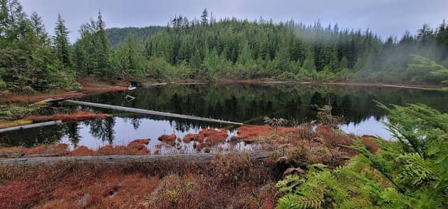 Black Portal Pond - Image 1