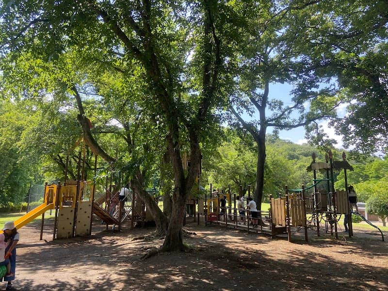 Shiraoyama Park - Image 2