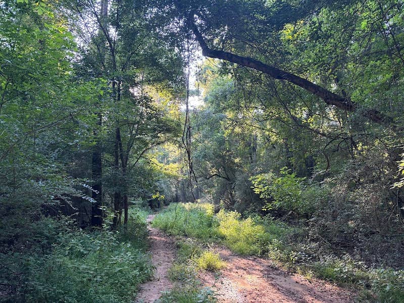 Twin Cedars Children’s Home/Pig Trail - Image 1