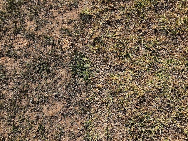 Queen Street Reserve - Image 2