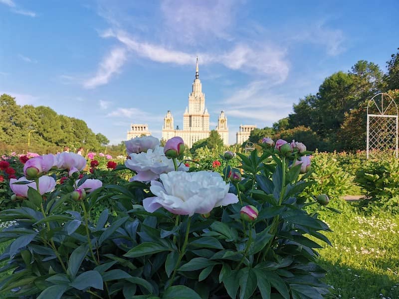 Botanical Garden - Image 2