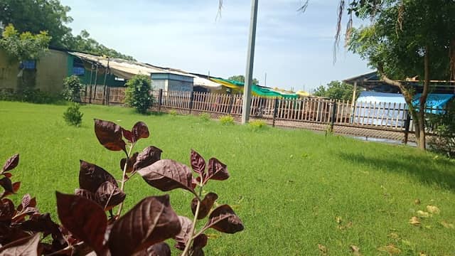 Pt. Deendayal Upadhyay park - Image 1