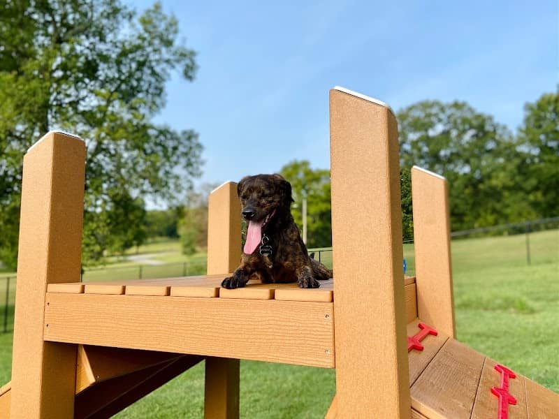 Muletown Bark Park - Image 1