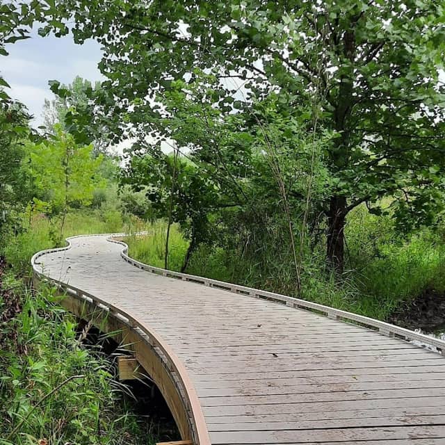 Dave Nolin Wetland Reserve - Image 2