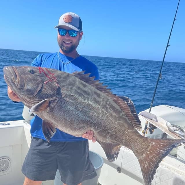 All Out Adventures and Sportfishing - Image 1