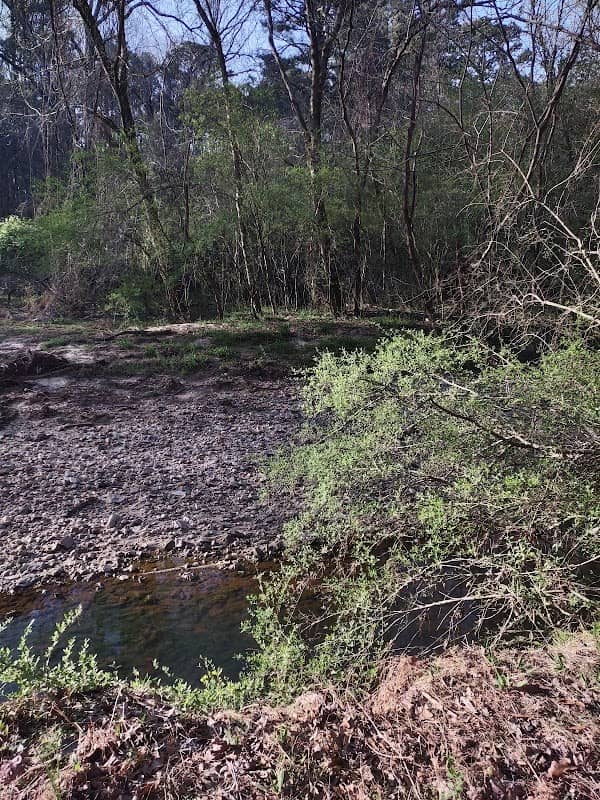 South Fork Peachtree Creek Source - Image 1