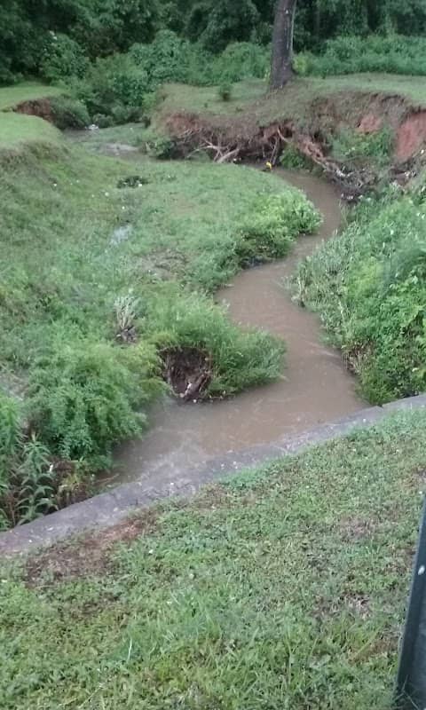 South Fork Peachtree Creek Source - Image 2