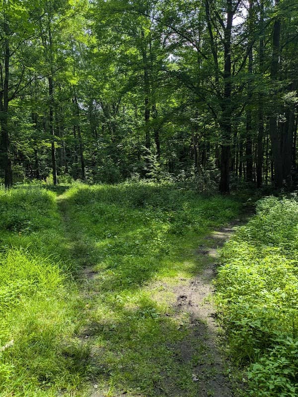 Stevens Park - Image 1