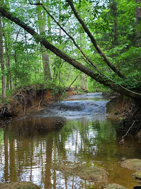 Ivy Payne Preserve - Texas Land Conservancy - Image 1