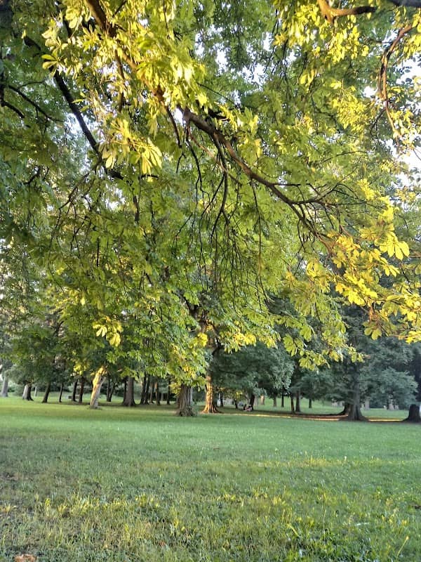 Mestni park - Image 1