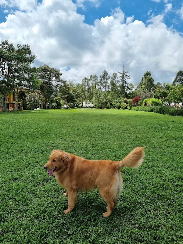 Parque - Image 1