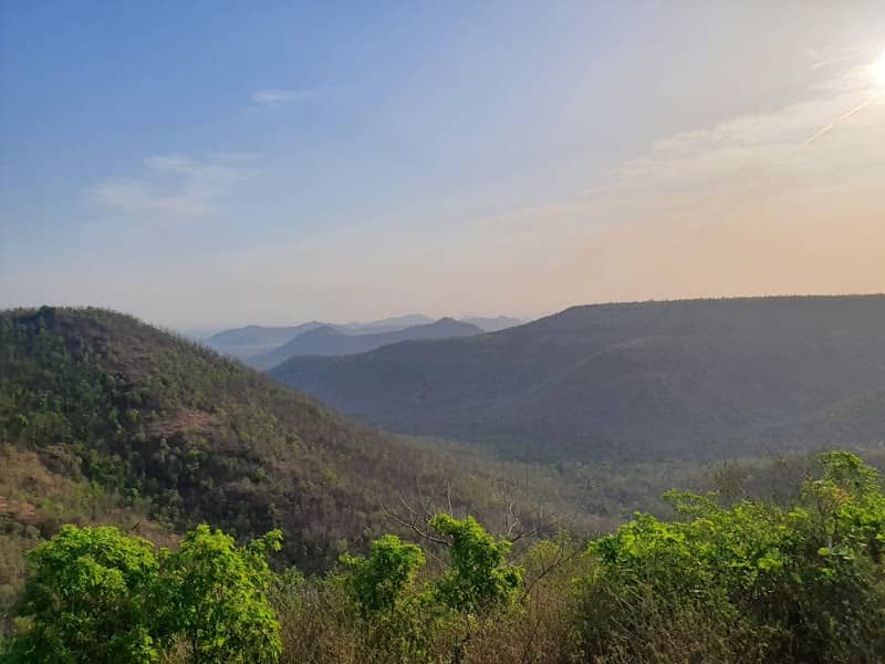 Leopard Point - Image 1