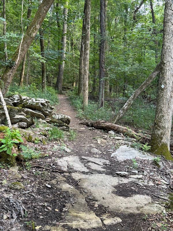 Green Mountain Nature Preserve (Astalot Trailhead) - Image 1