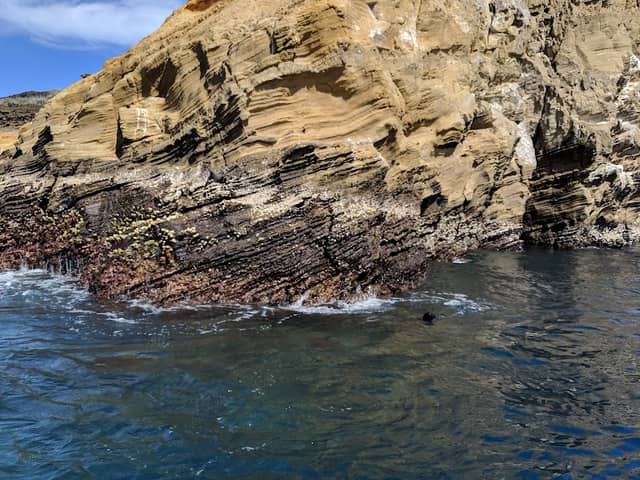 Punta Vicente Roca - Image 3