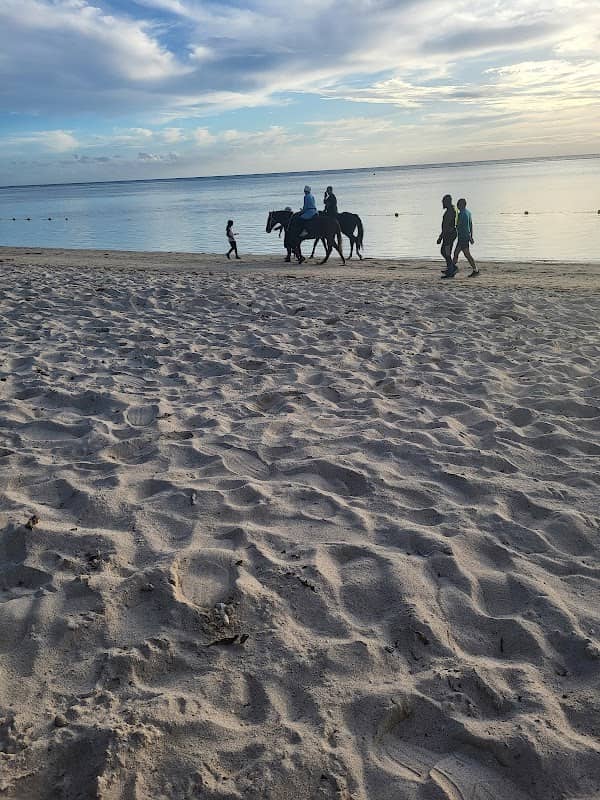 Plage - Image 1
