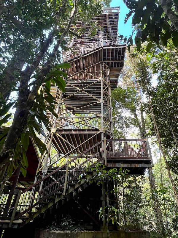 Daintree Discovery Centre - Image 3
