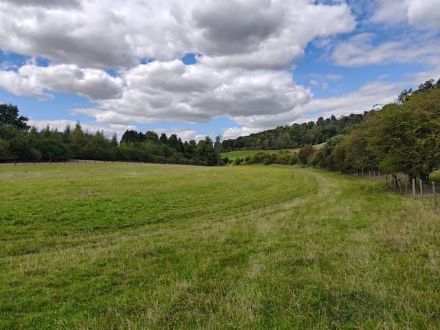 Cowleaze Woods - Image 2