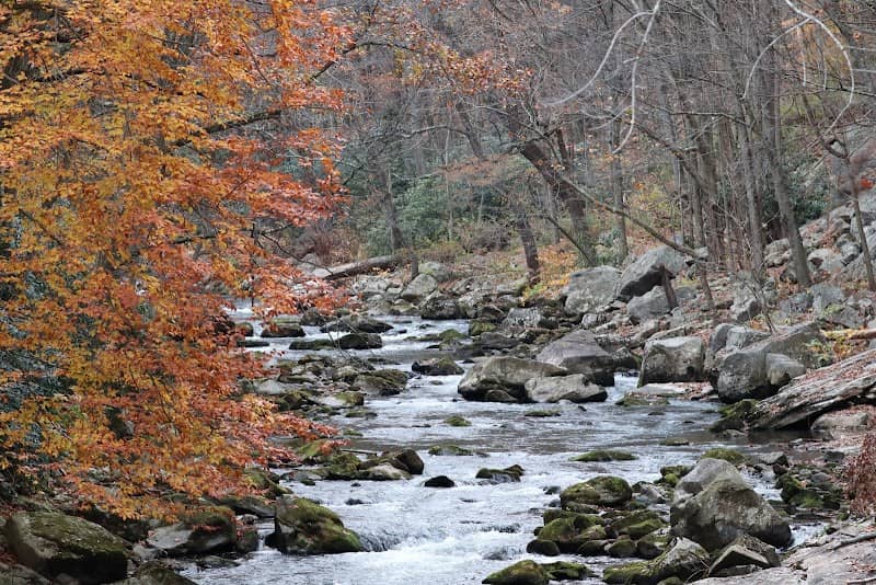 Savage River State Forest Headquarters - Image 2