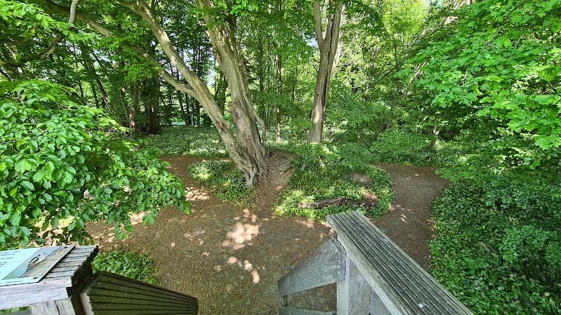 Aussichtsplattform - Image 1