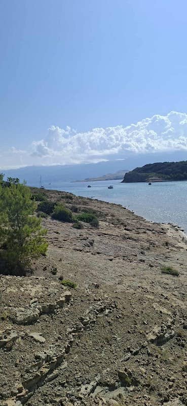 Saharabucht - Image 1