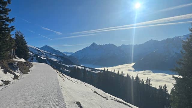 Schlittelweg Mägisalp - Bidmi - Image 1
