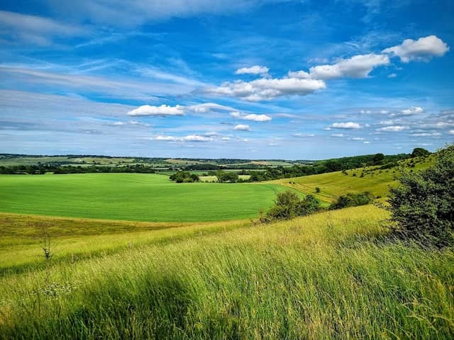 CHILTERNS NATURE - IVINGHOE HILLS NATURE RESERVE - Image 1