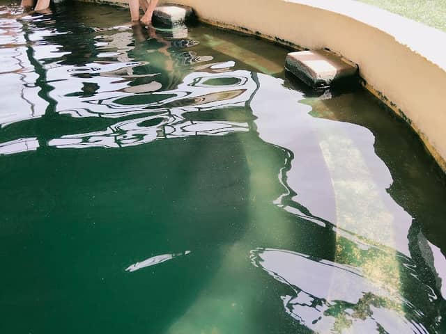 Hot spring foot bath - Image 2
