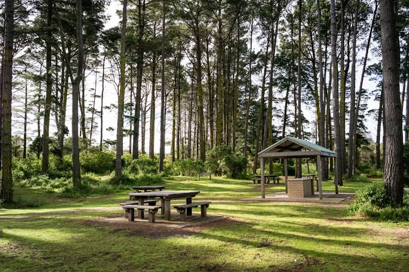 Fingal Picnic Area - Image 2