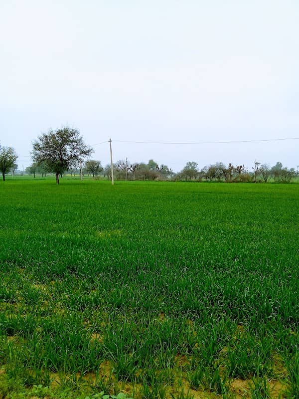 Park - Image 1