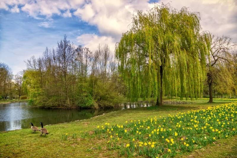 Beller Park - Image 1