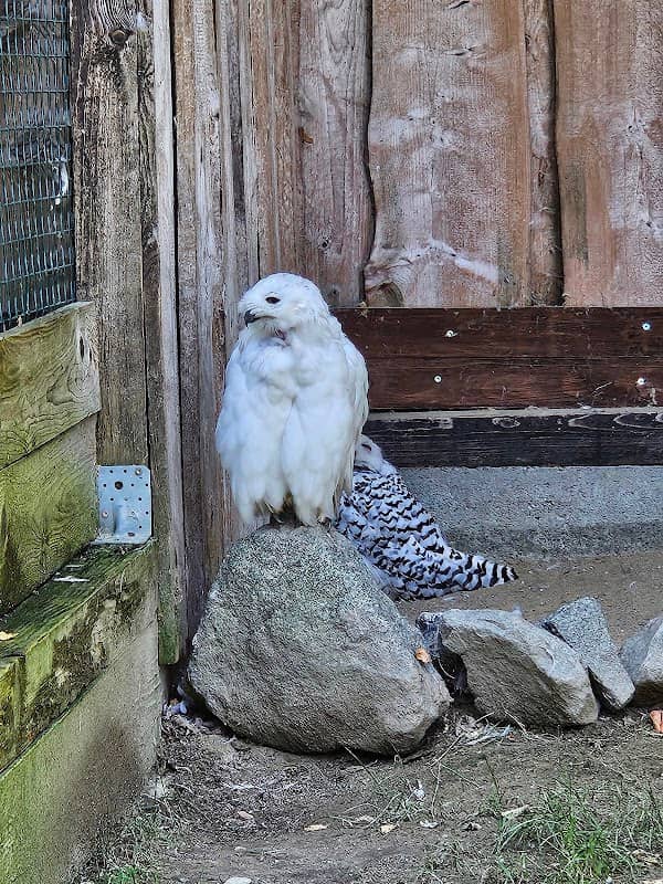 Aquarium im Tierpark Straubing - Image 1