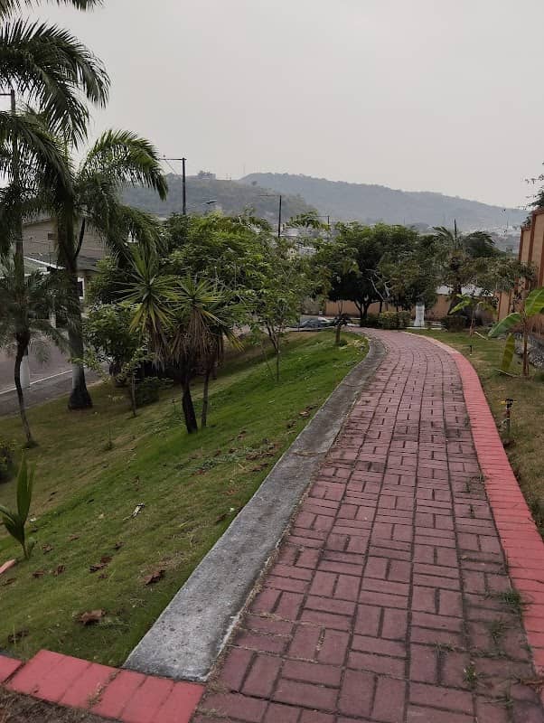 Mirador - Image 1