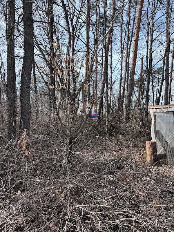 The deer shack - Image 1